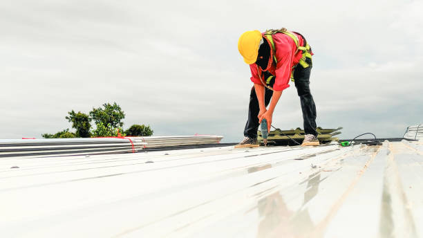 Best Roof Repair  in Tusculum, TN