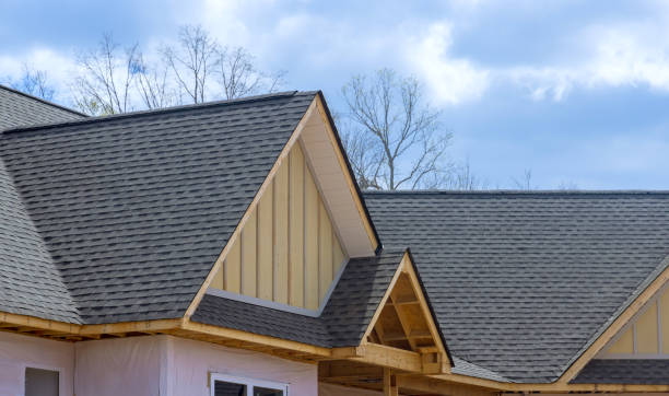 Best Roof Leak Repair  in Tusculum, TN