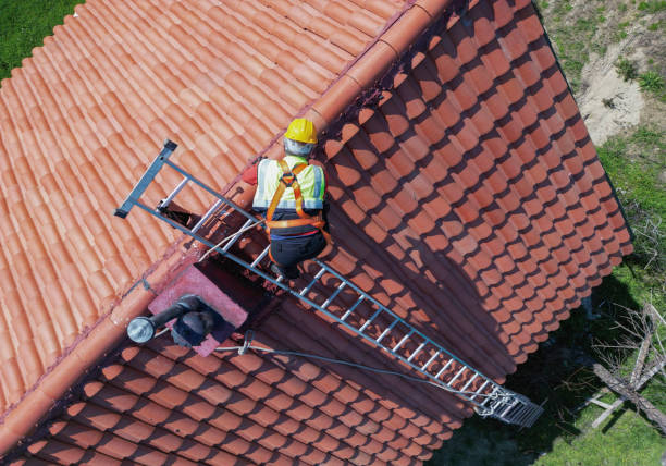 Best Solar Panel Roofing Installation  in Tusculum, TN