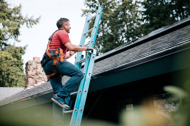 Best Green or Eco-Friendly Roofing Solutions  in Tusculum, TN