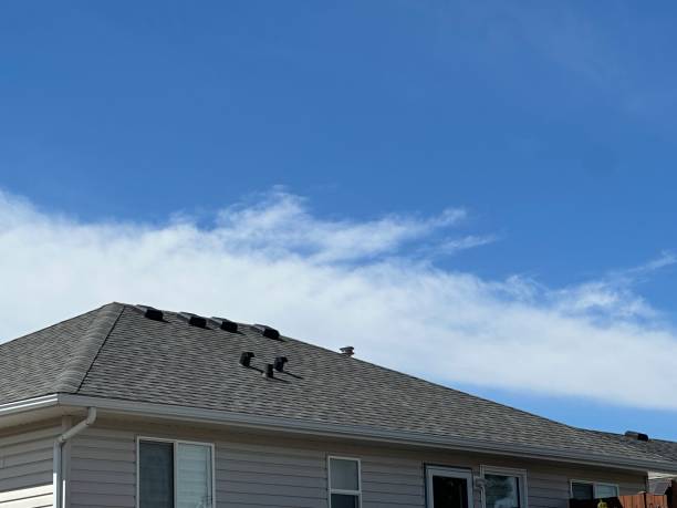Best Storm Damage Roof Repair  in Tusculum, TN