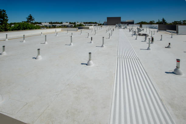 Professional Roofing Service in Tusculum, TN